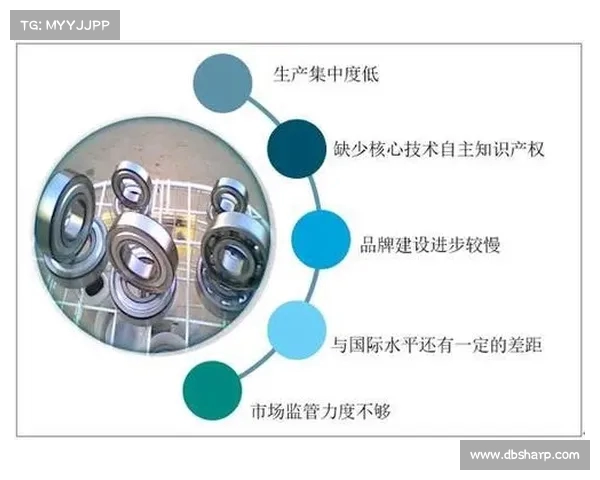 德甲俱乐部赞助商的商业价值分析与未来发展趋势探讨 德甲俱乐部赞助商的商业价值分析与未来发展趋势探讨